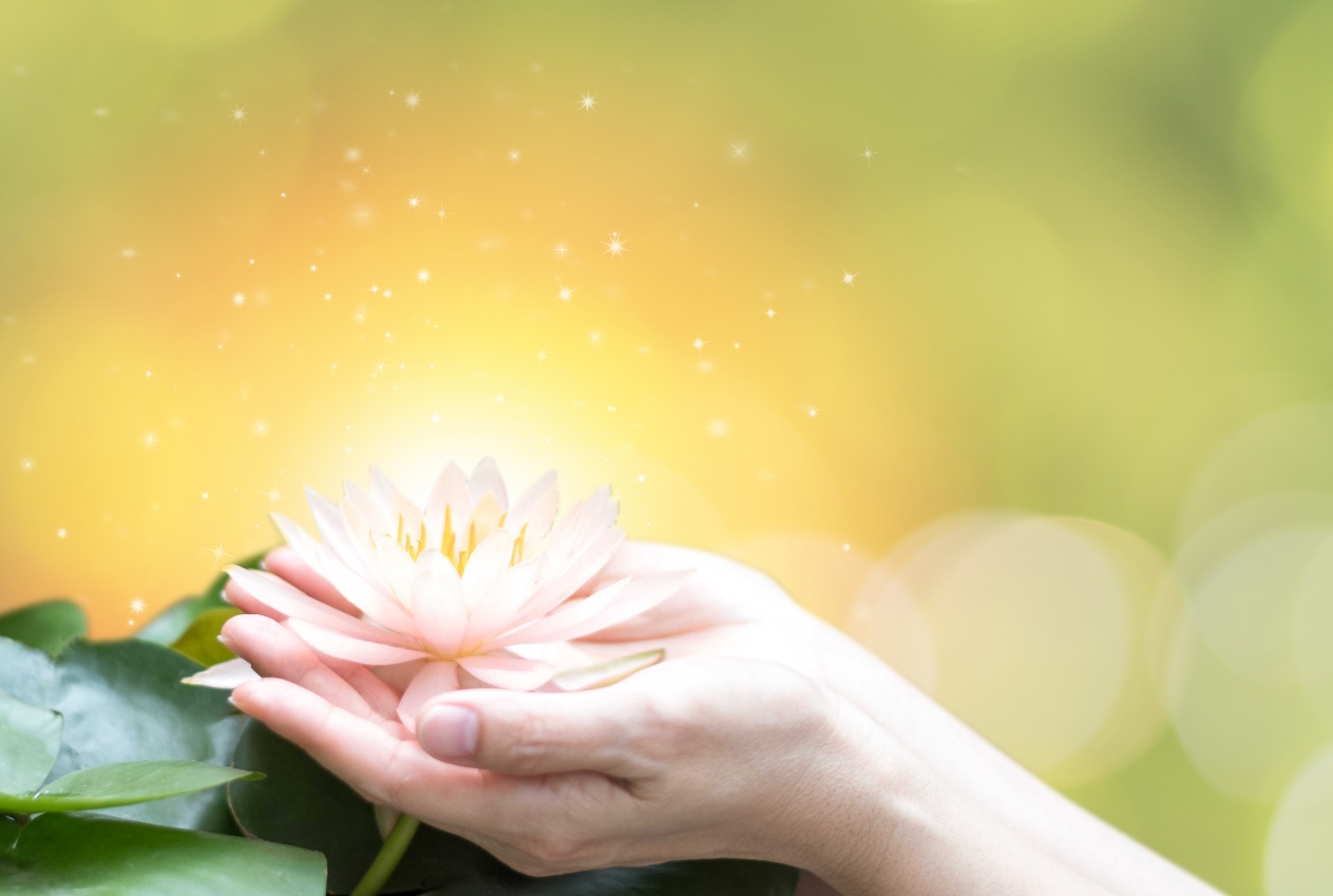 想いに合わせた供養方法を選べる