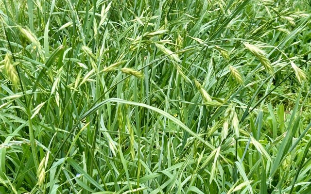 リフォーム・ハウスクリーニングのお客様の声：画像2枚目