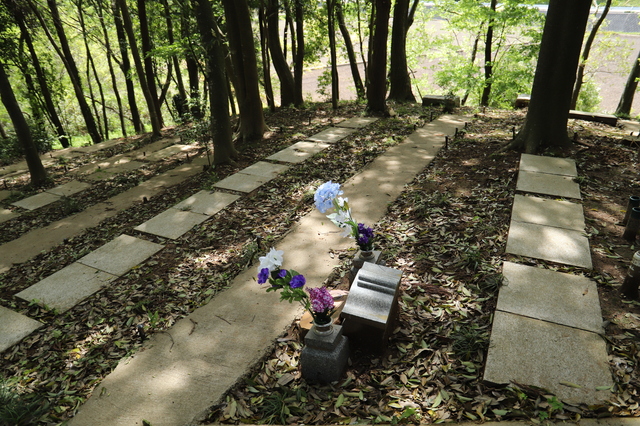 【知っておきたい終活の基本】始める時期・やること・メリットなど