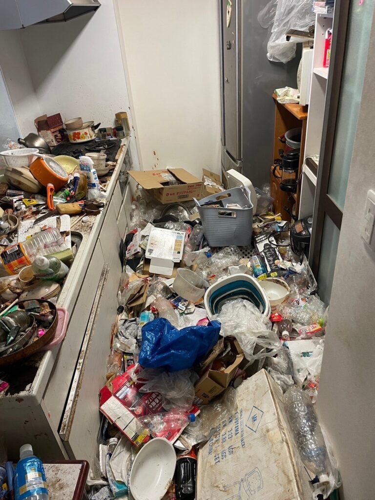 安芸太田町戸建て3DKのゴミ屋敷片付け事例 Before