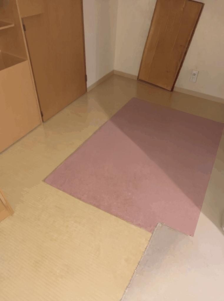 坂町戸建て3DKのゴミ屋敷片付け事例 After