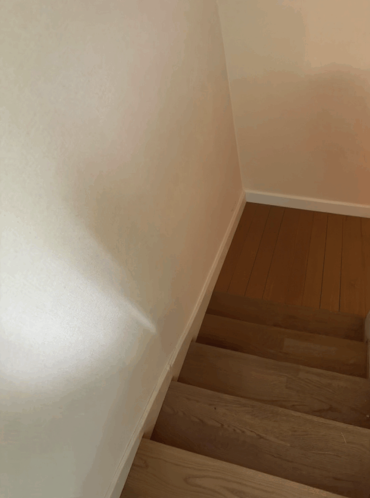 広島市南区マンション 2LDK のゴミ屋敷片付け事例 After