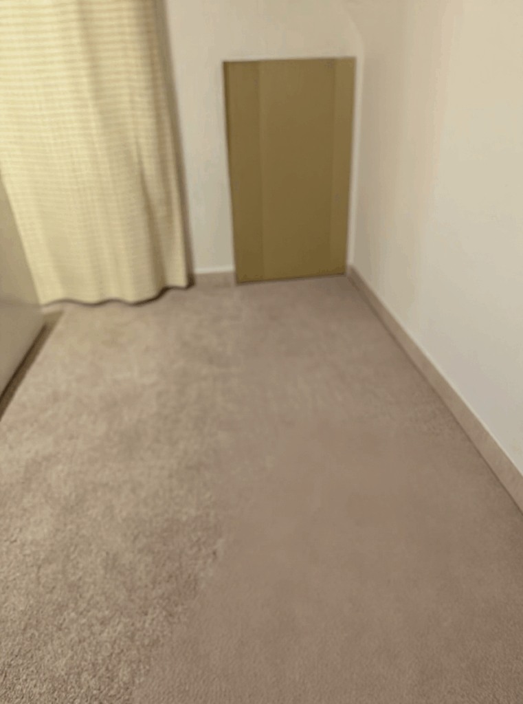 広島市安芸区マンション 2LDK のゴミ屋敷片付け事例 After