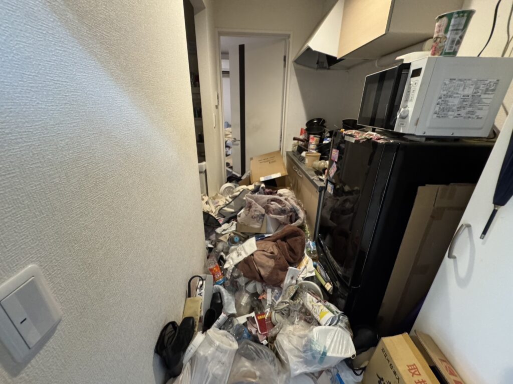 鹿児島県鹿児島市2LDKマンションT.U様の作業事例 Before