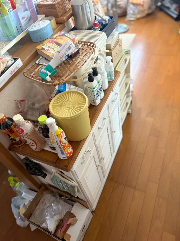 岐阜県高山市1LDKマンションS様の特殊清掃作業事例 Before