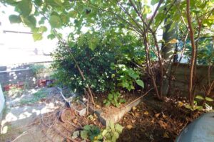 鳥取県米子市4LDK二世帯住宅F様の特殊清掃作業事例