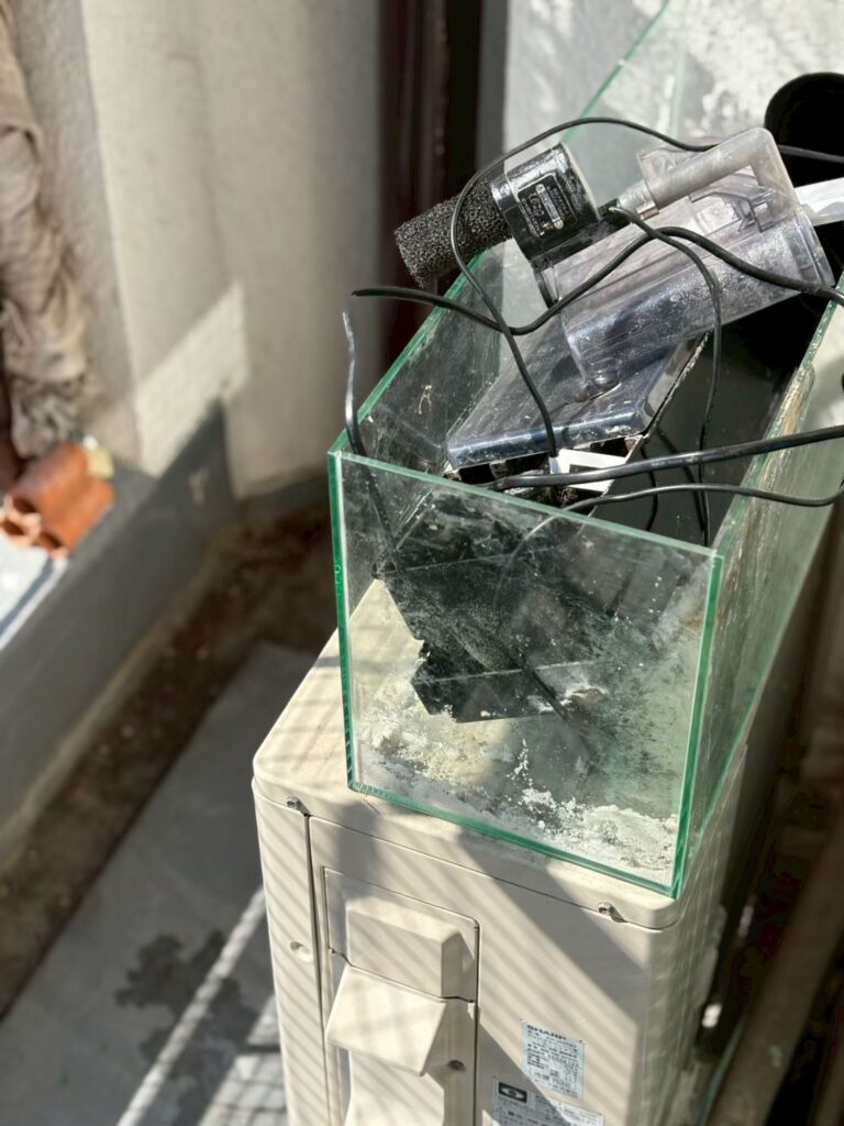 岡山県玉野市3DK戸建てI様の生前整理事例 Before