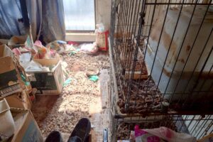 岡山県新見市2LDKマンションA様の生前整理事例