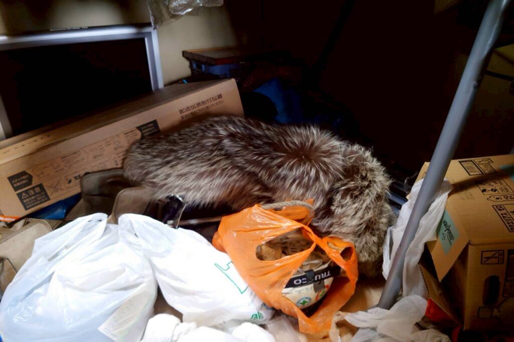 岡山県瀬戸内市4LDK戸建てA様の生前整理事例 Before