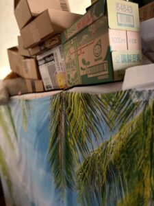 広島県広島市東区1RアパートI様の特殊清掃事例