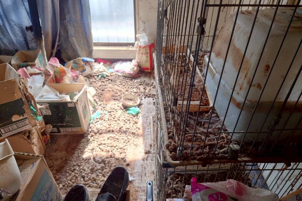 広島県広島市西区1DKマンションF様の特殊清掃事例 Before