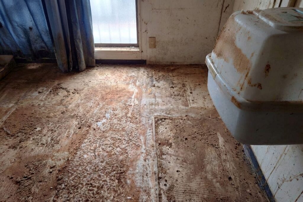 広島県広島市西区1DKマンションF様の特殊清掃事例 After