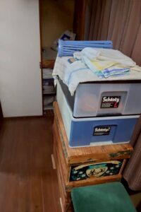 山口県周南市2DK戸建てH様の特殊清掃事例