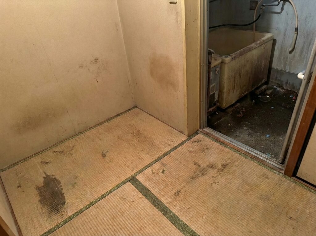 熊本県西原村2DK戸建てH様のゴミ屋敷片付け事例 After