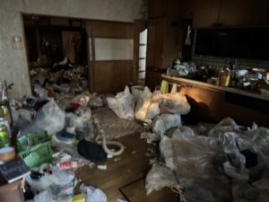 大分県豊後高田市1KマンションN様のゴミ屋敷片付け事例