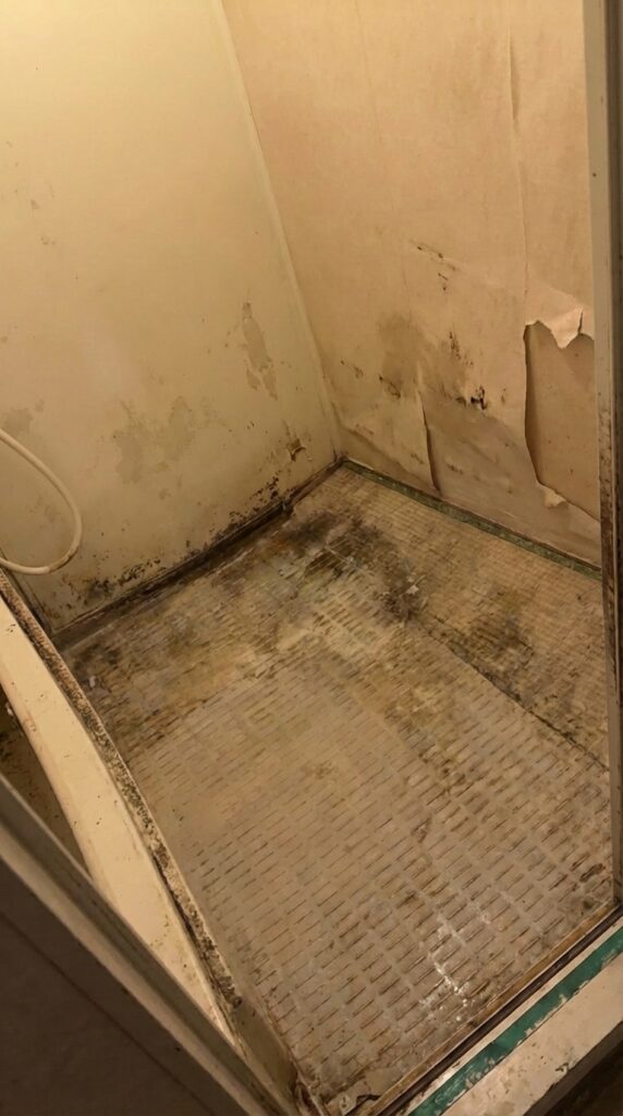 福岡県岡垣町5LDK以上戸建てO様のゴミ屋敷片付け事例 After