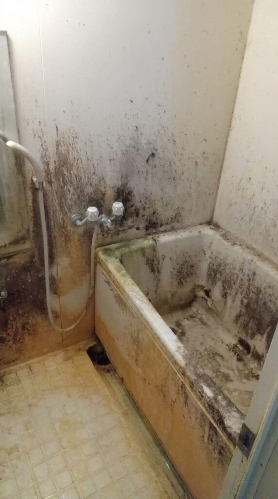 福岡県久留米市2LDK戸建てH様のゴミ屋敷片付け事例 After