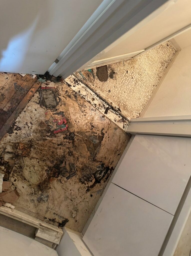 愛媛県伊方町1LDKアパートT様のゴミ屋敷片付け事例 After