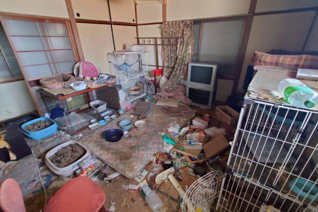 特殊清掃｜鳥取県湯梨浜町2LDK戸建て（一軒家）Ｕ.Ｒ様の作業事例 Before